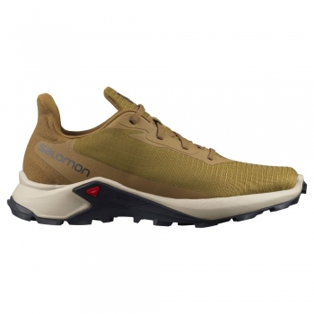Salomon Alphacross 3
